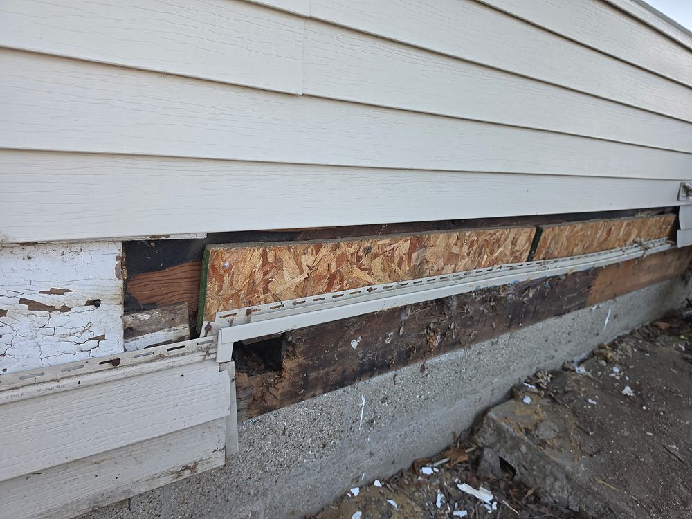 Rotted sill plate and rim joist exposed behind removed vinyl siding on a Port Huron home